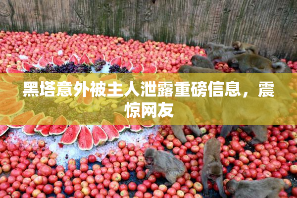 黑塔意外被主人泄露重磅信息，震惊网友