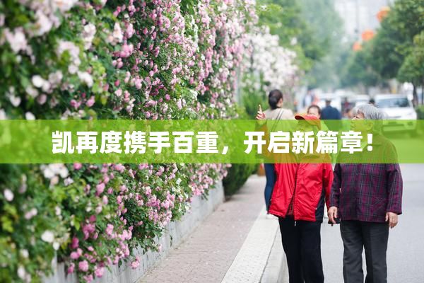 凯再度携手百重，开启新篇章！