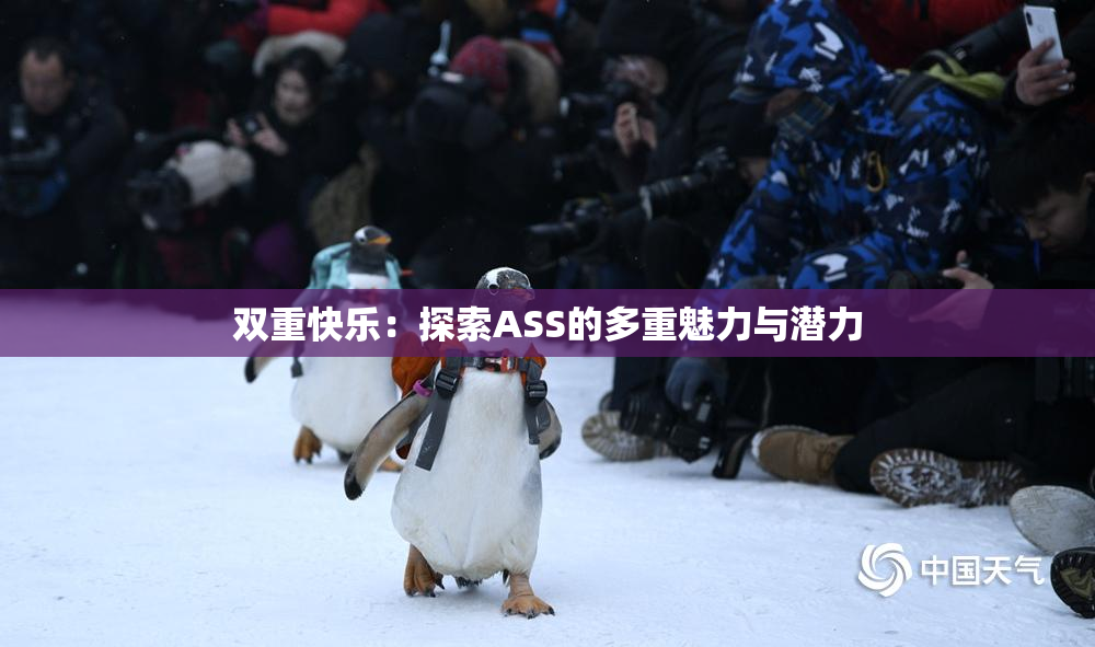 双重快乐：探索ASS的多重魅力与潜力