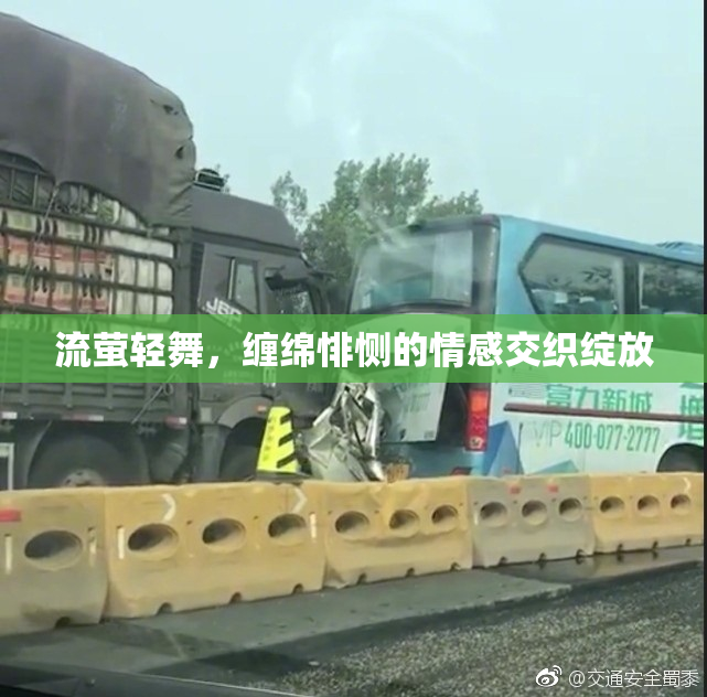 流萤轻舞，缠绵悱恻的情感交织绽放