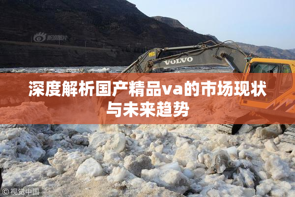 深度解析国产精品va的市场现状与未来趋势