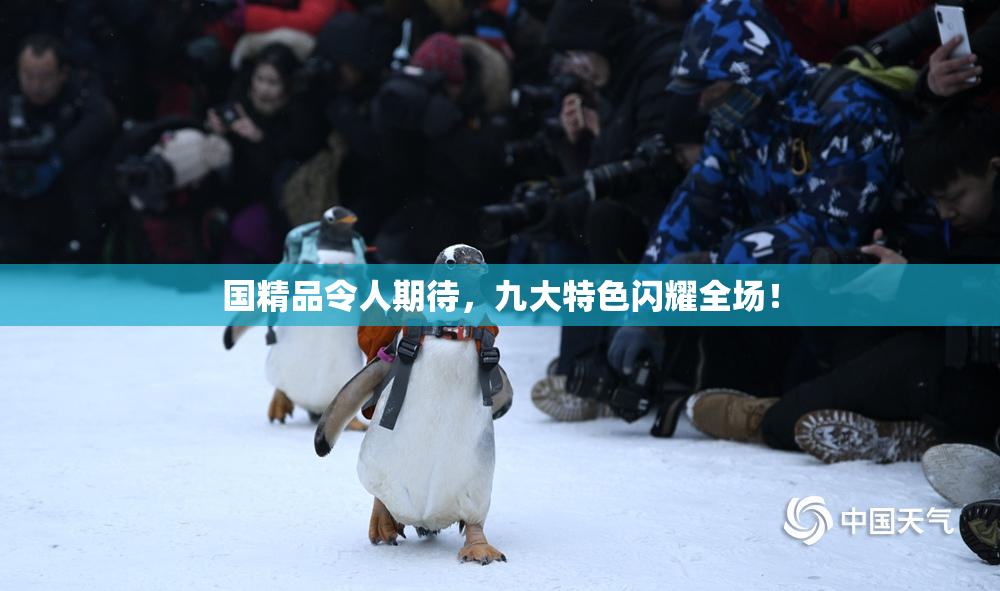 国精品令人期待，九大特色闪耀全场！