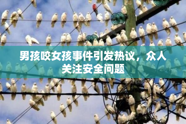 男孩咬女孩事件引发热议，众人关注安全问题