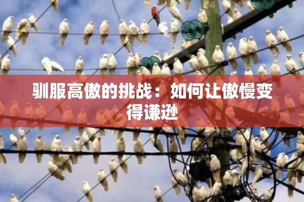 驯服高傲的挑战：如何让傲慢变得谦逊