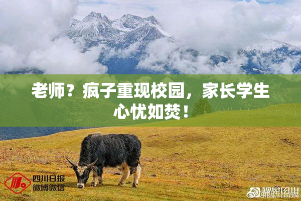 老师？疯子重现校园，家长学生心忧如焚！