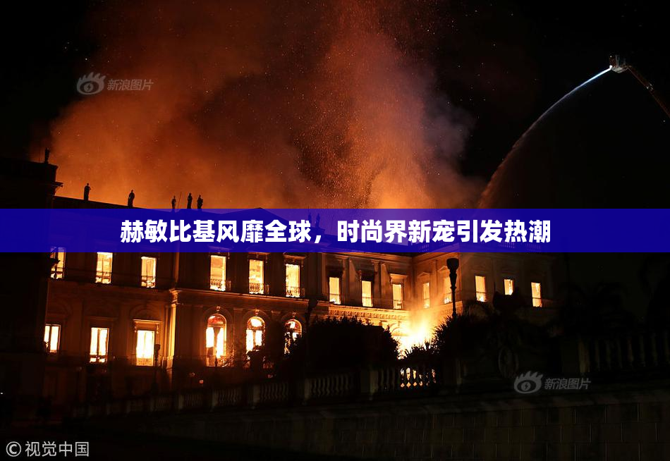 赫敏比基风靡全球，时尚界新宠引发热潮