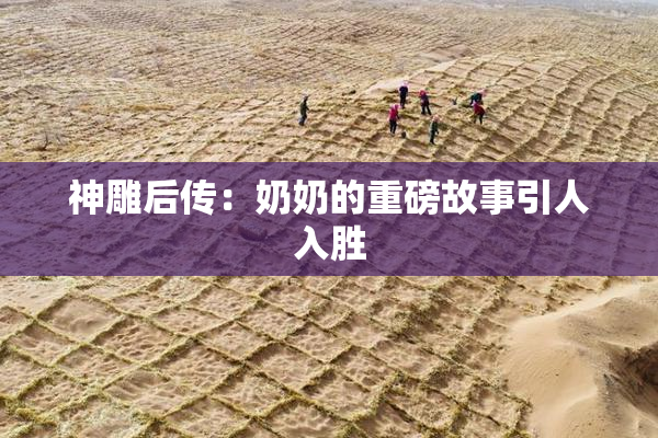 神雕后传：奶奶的重磅故事引人入胜