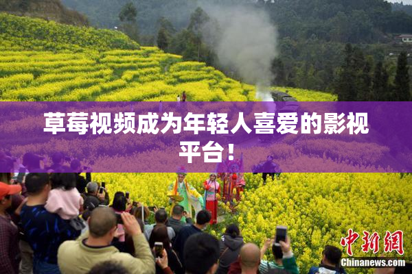 草莓视频成为年轻人喜爱的影视平台！