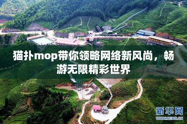 猫扑mop带你领略网络新风尚，畅游无限精彩世界