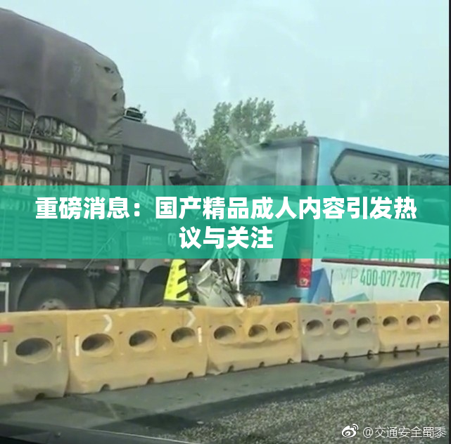 重磅消息：国产精品成人内容引发热议与关注