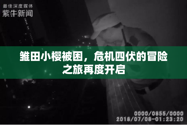 雏田小樱被困，危机四伏的冒险之旅再度开启