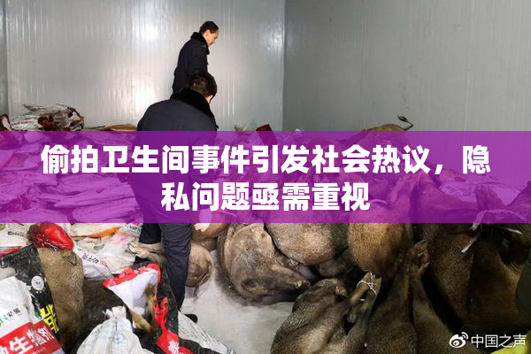偷拍卫生间事件引发社会热议，隐私问题亟需重视