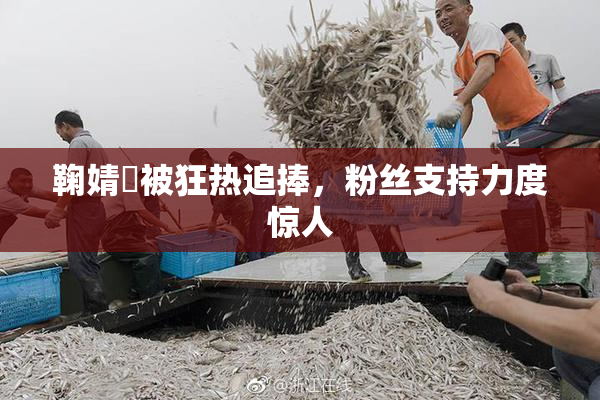 鞠婧祎被狂热追捧，粉丝支持力度惊人