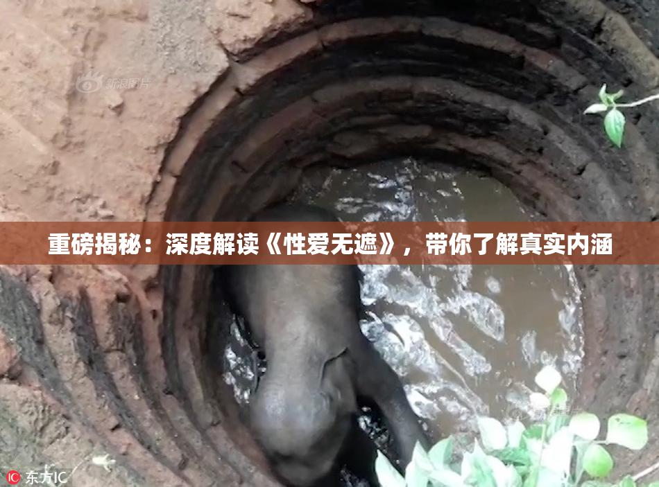 重磅揭秘：深度解读《性爱无遮》，带你了解真实内涵