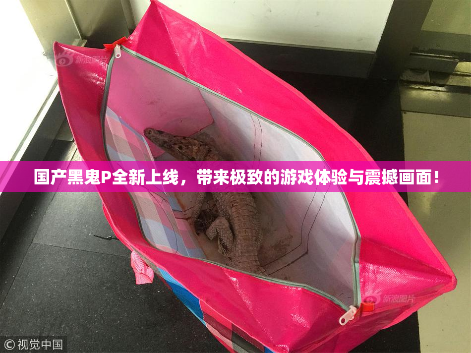 国产黑鬼P全新上线，带来极致的游戏体验与震撼画面！