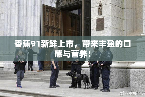 香蕉91新鲜上市，带来丰盈的口感与营养！