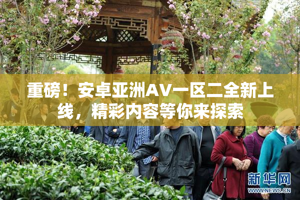 重磅！安卓亚洲AV一区二全新上线，精彩内容等你来探索