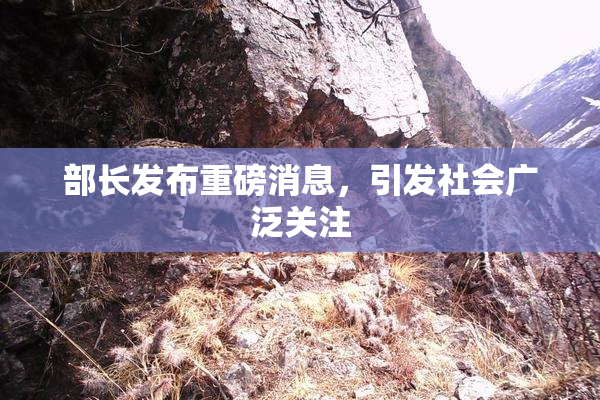 部长发布重磅消息，引发社会广泛关注
