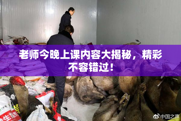 老师今晚上课内容大揭秘，精彩不容错过！