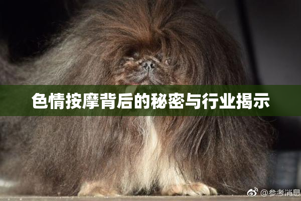 色情按摩背后的秘密与行业揭示
