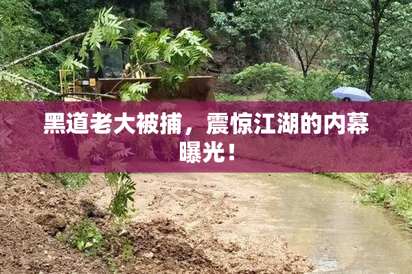 黑道老大被捕，震惊江湖的内幕曝光！