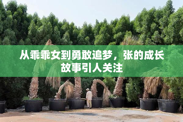 从乖乖女到勇敢追梦，张的成长故事引人关注