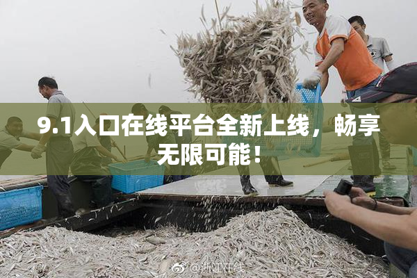 9.1入口在线平台全新上线，畅享无限可能！