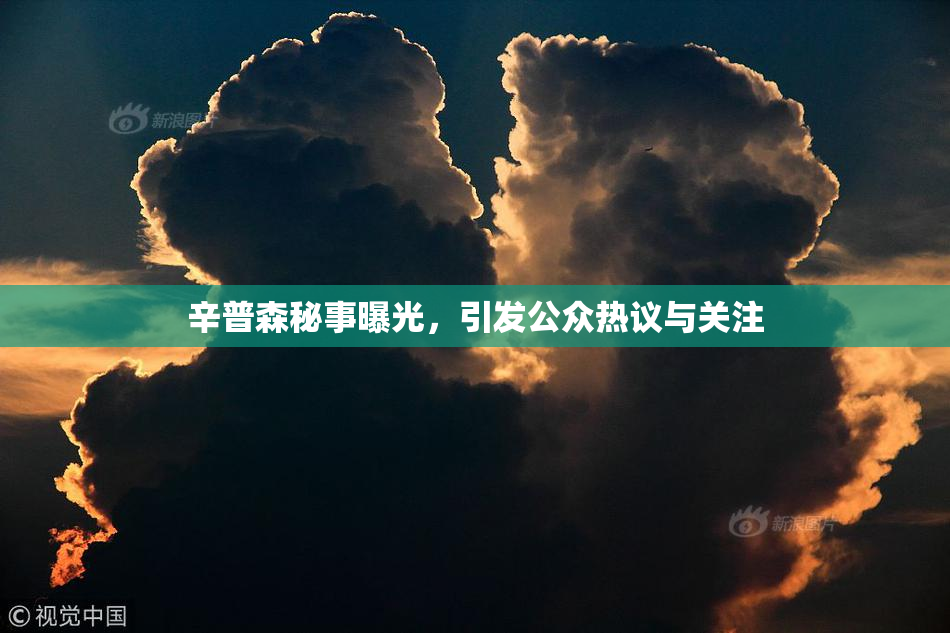 辛普森秘事曝光，引发公众热议与关注