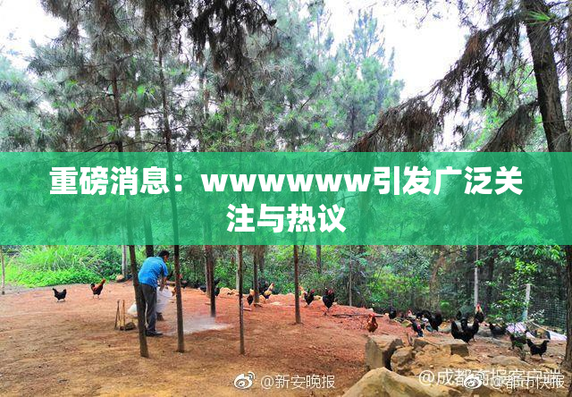 重磅消息：wwwwww引发广泛关注与热议