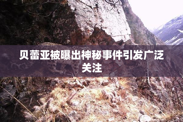 贝蕾亚被曝出神秘事件引发广泛关注