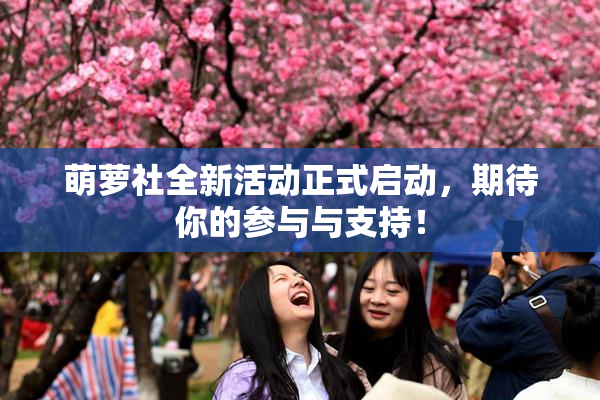 萌萝社全新活动正式启动，期待你的参与与支持！
