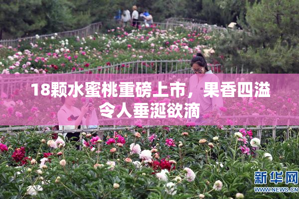18颗水蜜桃重磅上市，果香四溢令人垂涎欲滴