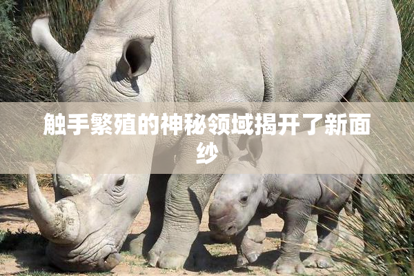 触手繁殖的神秘领域揭开了新面纱
