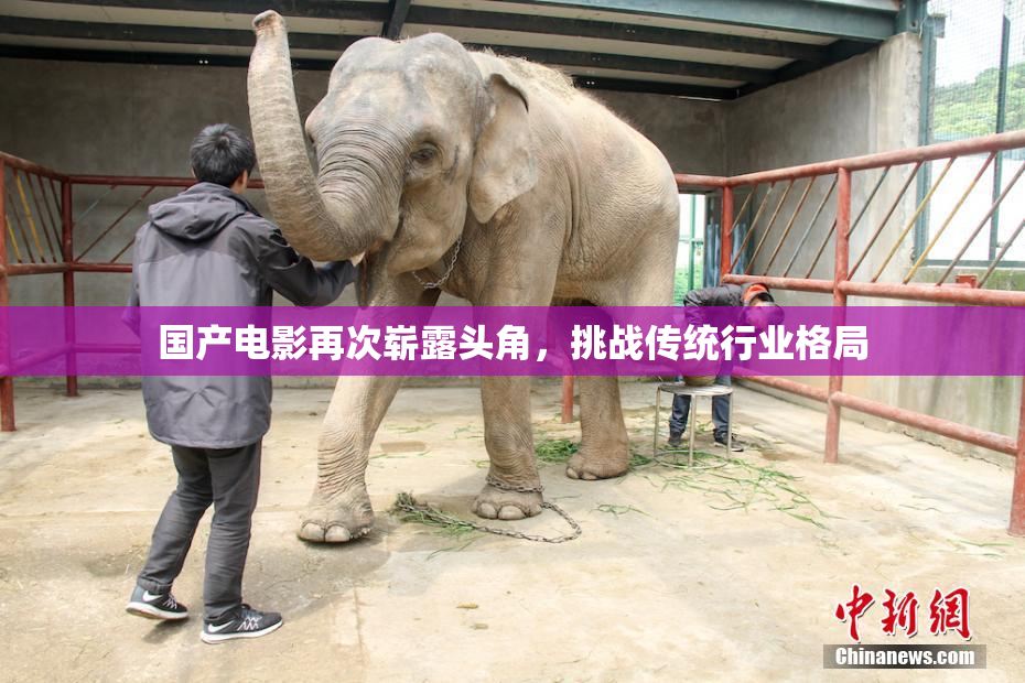 国产电影再次崭露头角，挑战传统行业格局