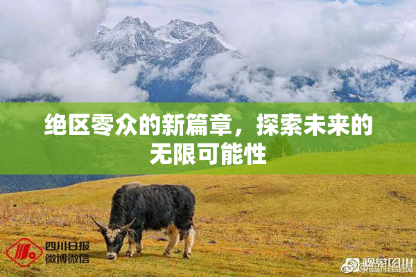 绝区零众的新篇章，探索未来的无限可能性