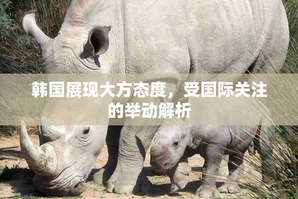 韩国展现大方态度，受国际关注的举动解析