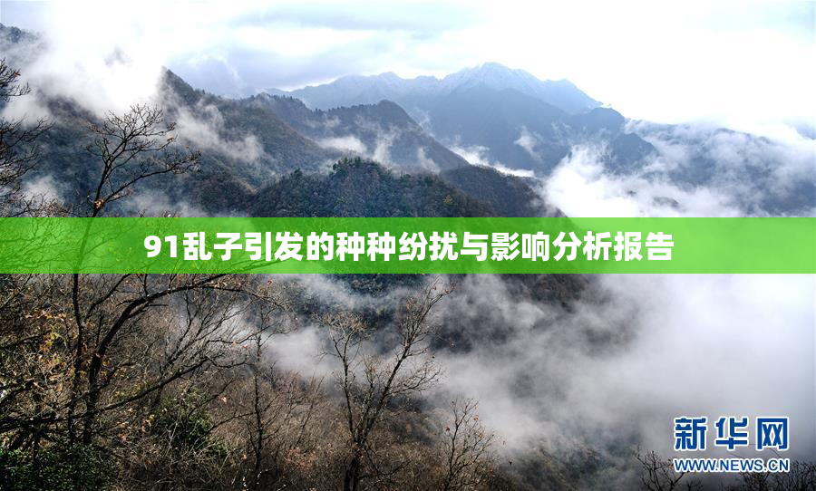 91乱子引发的种种纷扰与影响分析报告