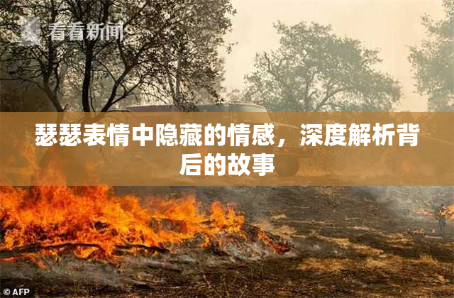 瑟瑟表情中隐藏的情感，深度解析背后的故事
