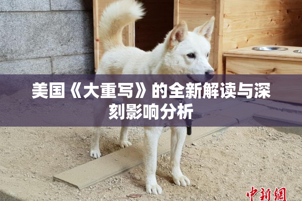 美国《大重写》的全新解读与深刻影响分析