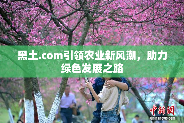 黑土.com引领农业新风潮，助力绿色发展之路