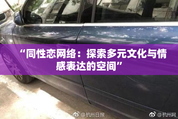 “同性恋网络：探索多元文化与情感表达的空间”