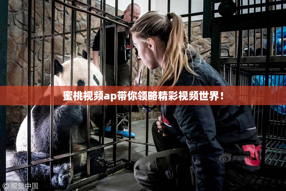 蜜桃视频ap带你领略精彩视频世界！