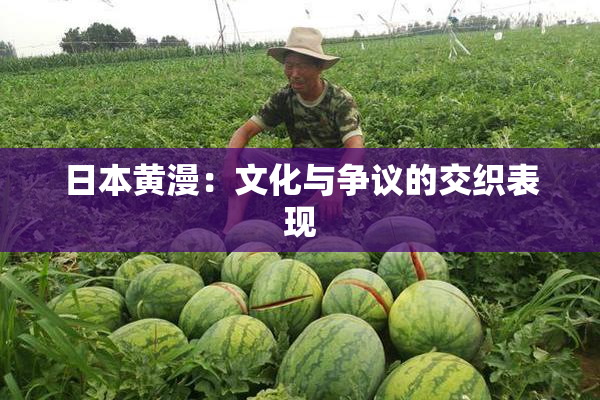 日本黄漫：文化与争议的交织表现