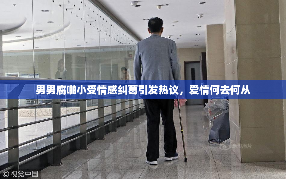 男男腐啪小受情感纠葛引发热议，爱情何去何从