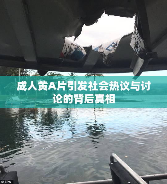 成人黄A片引发社会热议与讨论的背后真相
