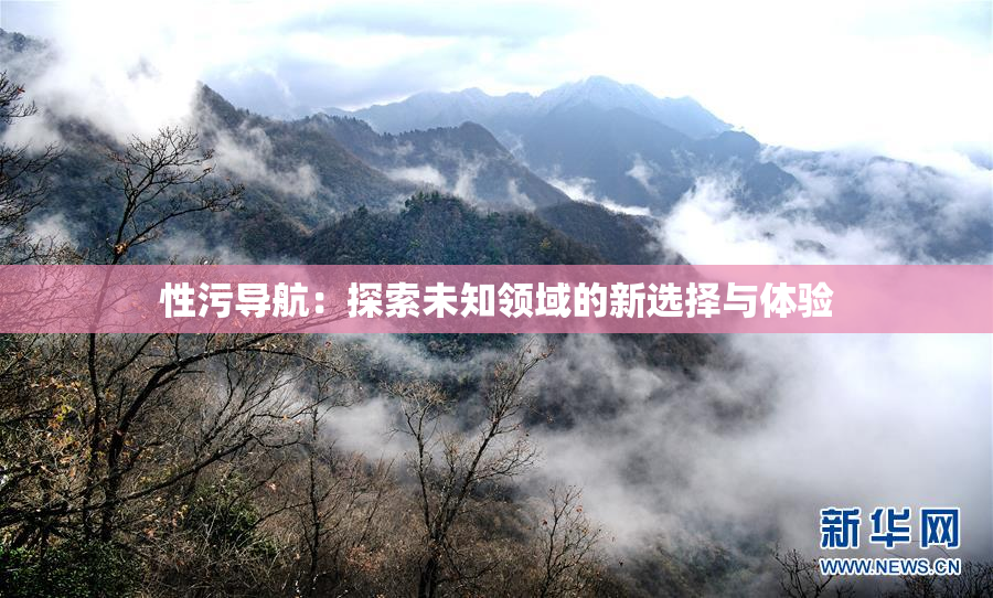性污导航：探索未知领域的新选择与体验