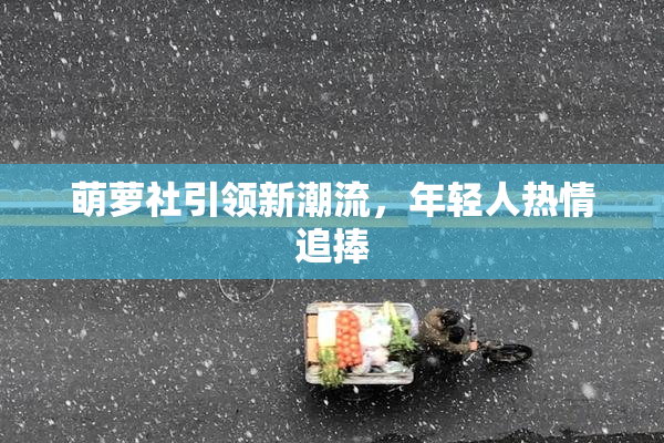 萌萝社引领新潮流，年轻人热情追捧