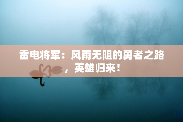 雷电将军：风雨无阻的勇者之路，英雄归来！