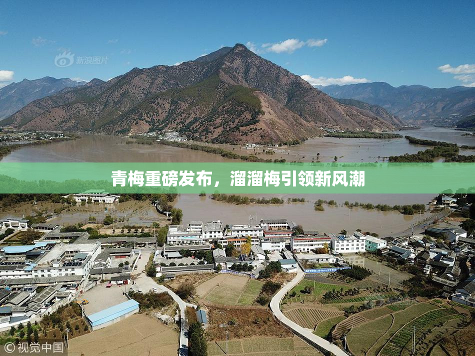 青梅重磅发布，溜溜梅引领新风潮