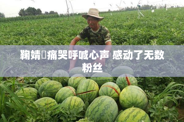 鞠婧祎痛哭呼喊心声 感动了无数粉丝